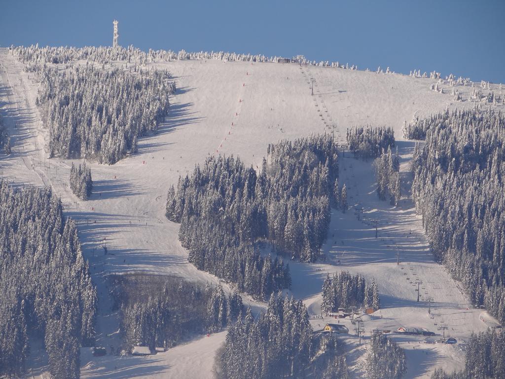Top Penzion Marina Dolny Kubin Exteriör bild